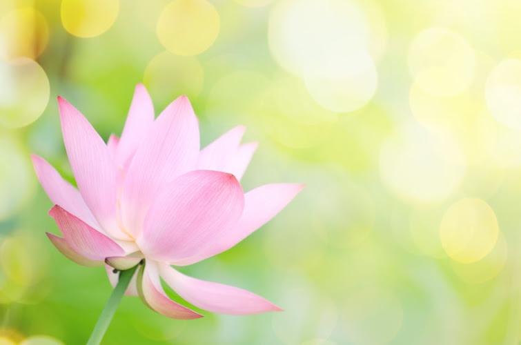 Jade Path Acupuncture & Herbal Medicine clinic