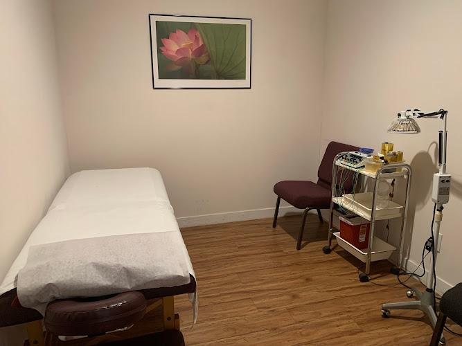 21st Century Herbs & Acupuncture clinic
