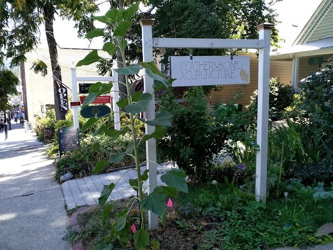 Feather and Bone Acupuncture clinic