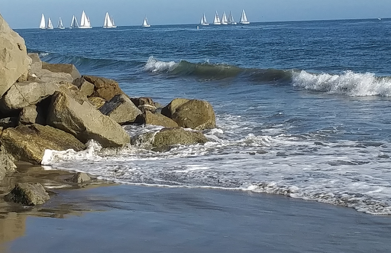 Santa Cruz Acupuncture and EFT clinic