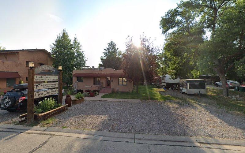 Carbondale Acupuncture Center Inc clinic