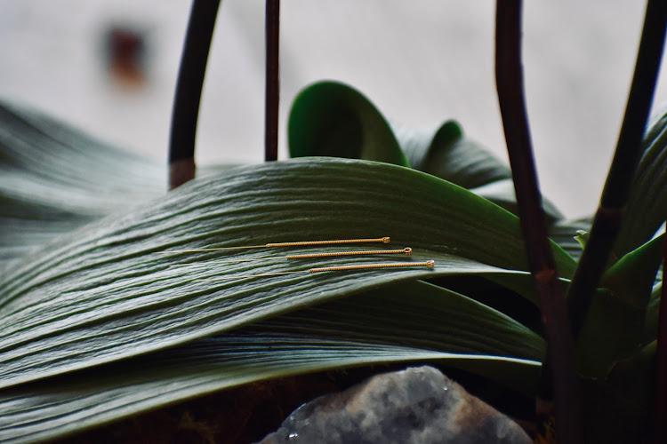 Vedana Acupuncture & Wellness Parker clinic