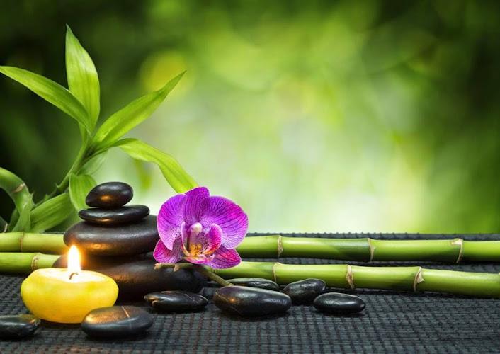 Bamboo Hollow Acupuncture clinic