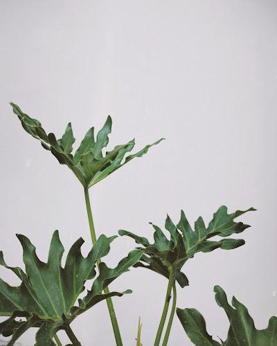 Positive Changes Acupuncture clinic