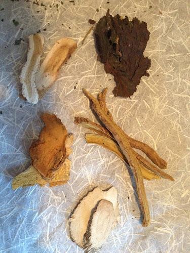 Jade Branch Acupuncture & Herbal Medicine clinic