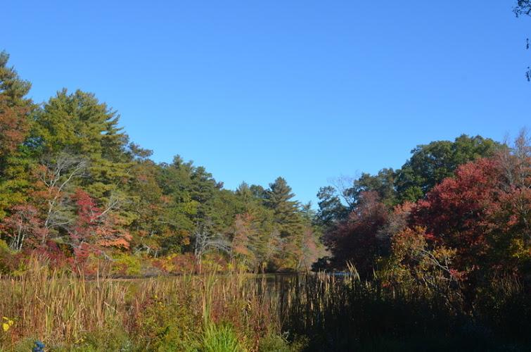 The Acupuncture and Herbal Center clinic