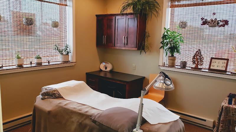Willow Tree Acupuncture clinic