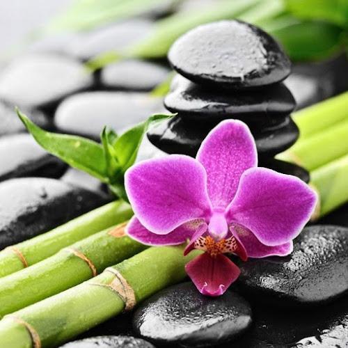 Acupuncture of Morris County clinic