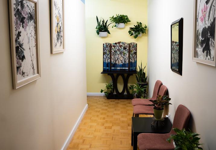Susy Qi Acupuncture clinic