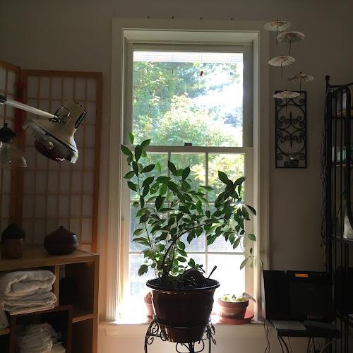 Wellspring Acupuncture clinic