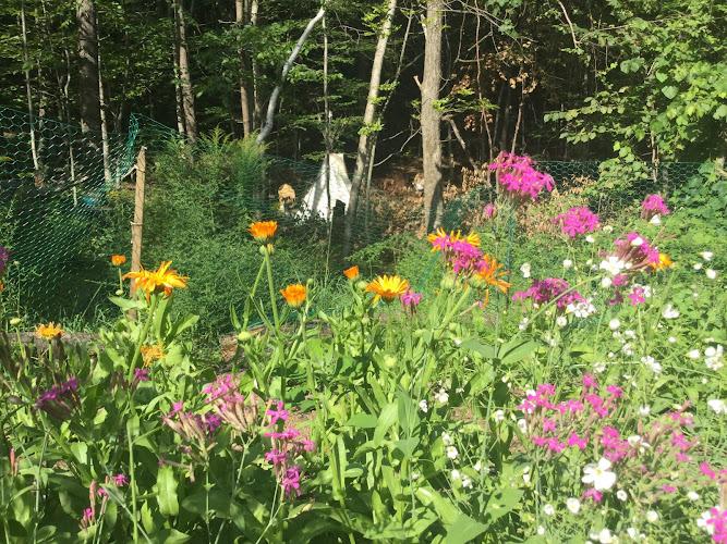 Brattleboro Acupuncture clinic