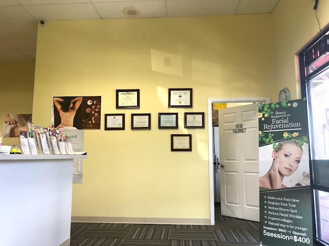 Daisy Herb & Acupuncture clinic