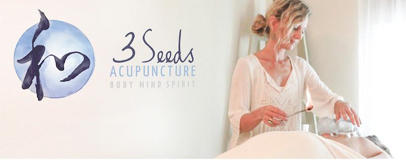 3 Seeds Acupuncture, Ann-Marie Blanchard L.Ac. clinic