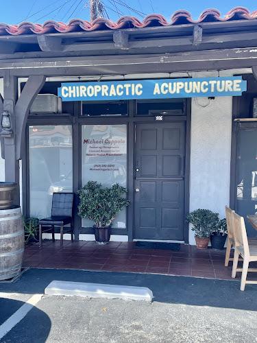 Michael A. Coppola Jr, DC LAc / Chiropractic & Acupuncture clinic