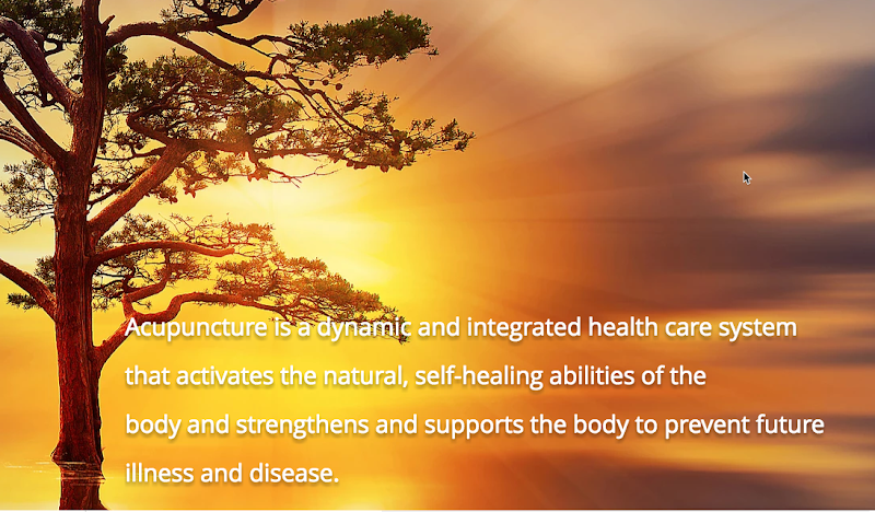 Christy Vitiello Acupuncture & Herbal Medicine clinic