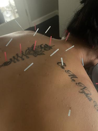 Dragonfae Acupuncture & Healing Medicinals clinic