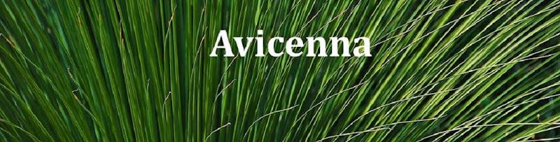Avicenna Acupuncture & Lymphedema Clinic clinic