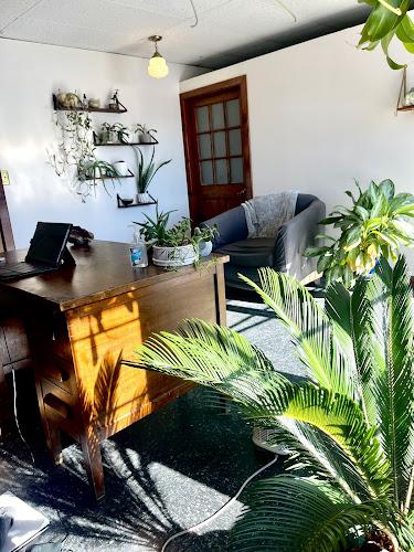 Blue Ginkgo Center of Chinese Medicine LLC clinic