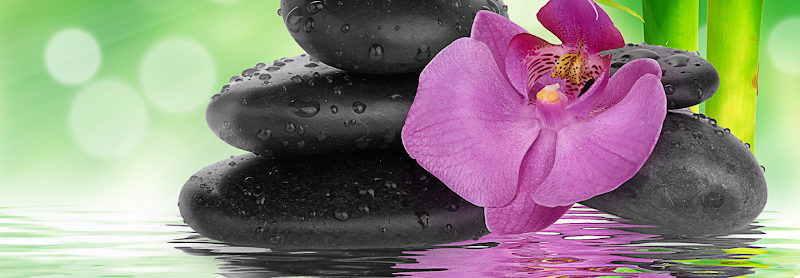 Sally Monaghan, DACM Acupuncture & Herbology clinic