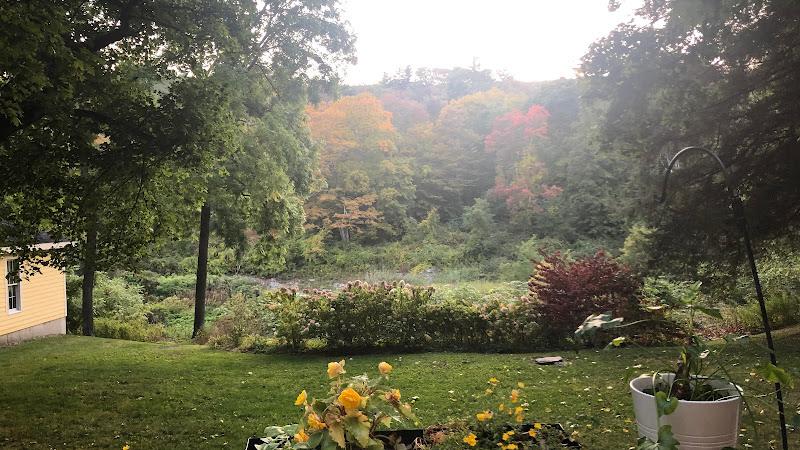 Berkshire Acupuncture with Zoë clinic