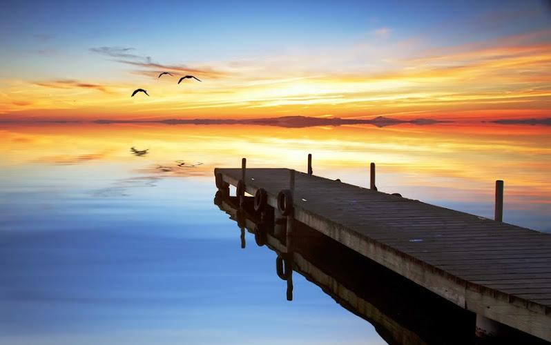 Allendale Acupuncture and Nutrition Clinic clinic