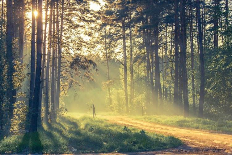 Princeton Acupuncture & Oriental Medicine clinic