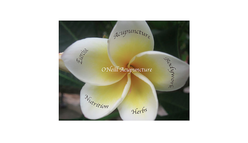 O'Neill Acupuncture - Colleen O'Neill, Owner & Licensed Acupuncturist clinic