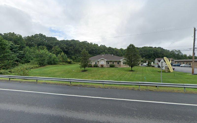 Dragon Springs Wellness-Malinda DeMercurio L.Ac. clinic