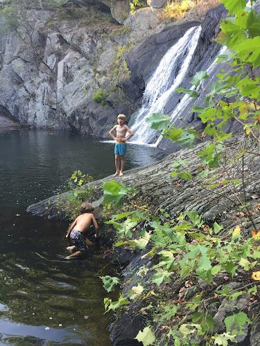 Five Element Acupuncture with Margaret Hallisey clinic