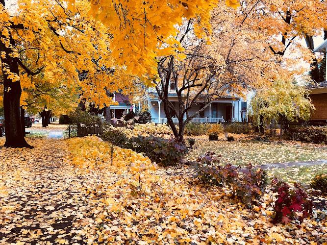 LIV Acupuncture: Pain and Fertility Clinic clinic