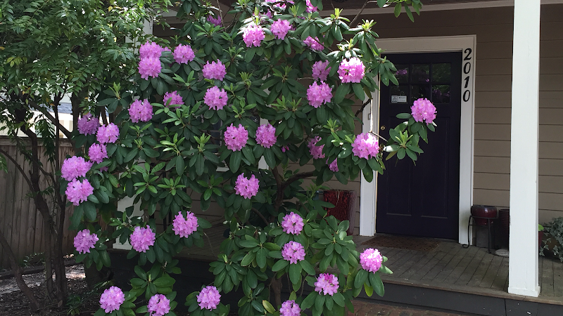 Phoenix Moon Acupuncture & Apothecary clinic