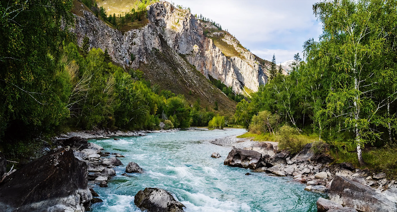 Root and Branch Acupuncture and Integrative Health clinic