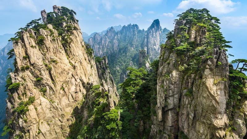 Pine Mountain Chinese Acupuncture & Herb Clinic: Ziyang Zhou, L.Ac. clinic