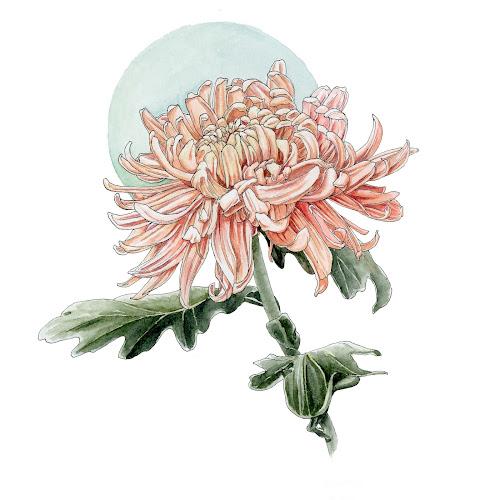 Sarah Johnson Fertility Acupuncture : Austin, TX clinic