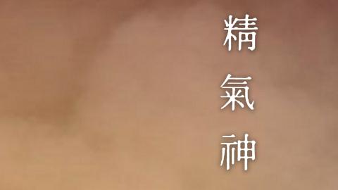 Integrated Therapies Acupuncture And Massage clinic