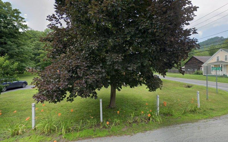 Dr. C. Lumenello - Acupuncture & Chinese Medicine in Southern Vermont clinic