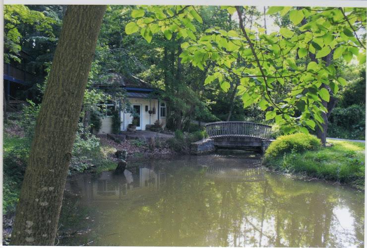 Victoria J. Taylor - Licensed Acupuncturist clinic