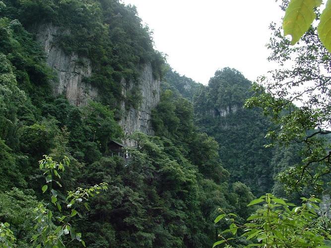 Matt Van Dyke, L.Ac. EAMP - Acupuncture, Herbs, Qi Gong clinic