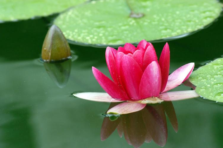 7 Rivers Acupuncture & Chinese Herbal Medicine clinic